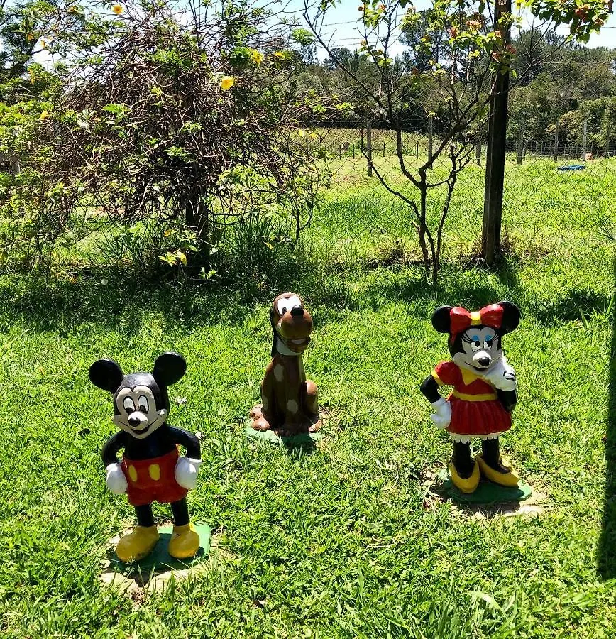 Paz E Alegria No Recanto Do Vo Loco Holiday home Sao Paulo